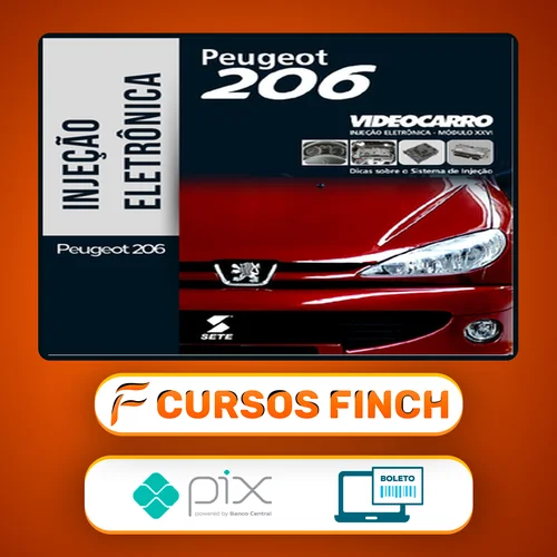 Injeção Eletrônica: Peugeot 206 - VideoCarro